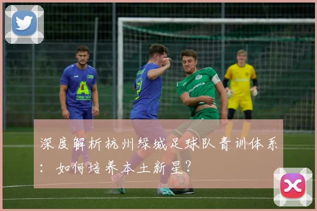 深度解析杭州绿城足球队青训体系:如何培养本土新星?