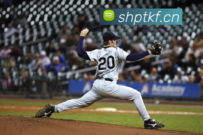 App Interface Preview