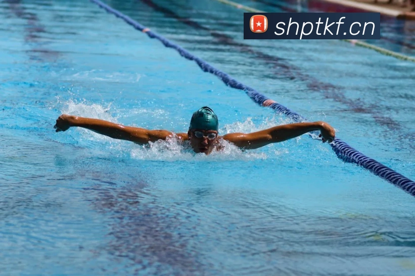 开云账号中心登录入口APP 封面图